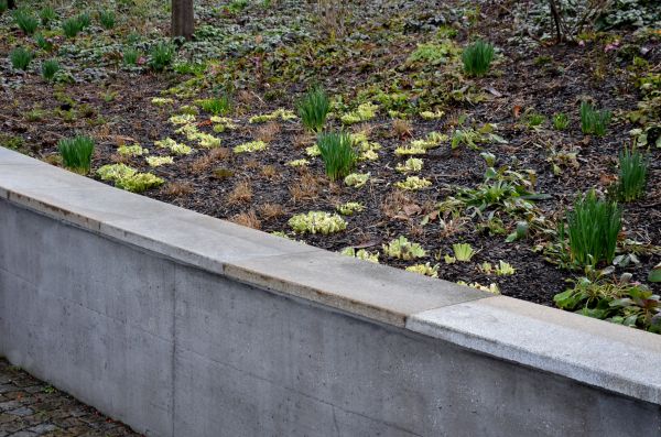 Concrete Wall Construction in Plano