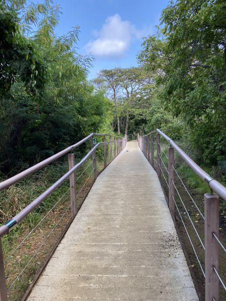 Footpath Construction in Plano