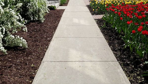 Cement Sidewalk Installation in Plano