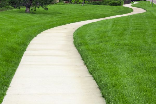 Cost of Sidewalk Paving in Plano
