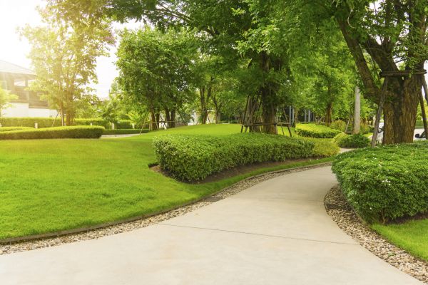 Walkway Concrete Installation in Plano