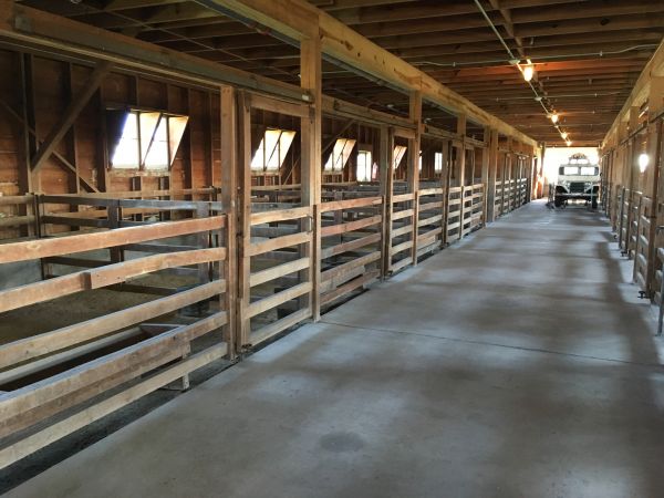 Barn Slab Construction in Plano