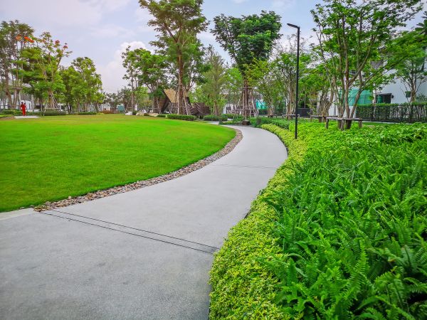 Cement Walkway Service in Plano