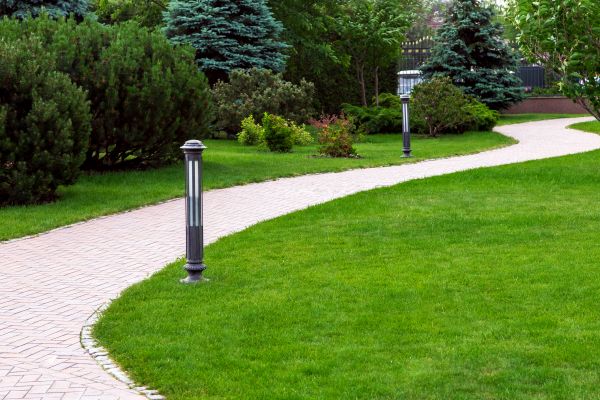 Backyard Sidewalk Installation in Plano