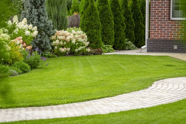 Landscape Walkway Installation in Plano