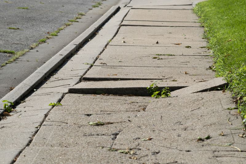 Sidewalk Repair Projects